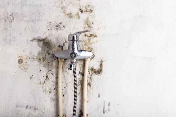 Best Office Mold Removal Services  in Loma Ri, CA