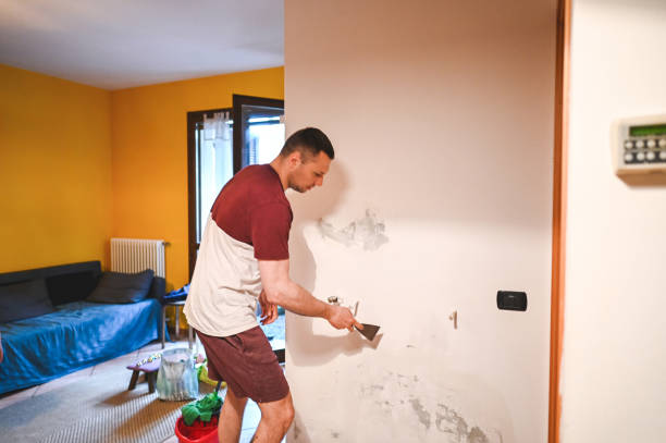 Best Emergency Mold Removal  in Loma Ri, CA